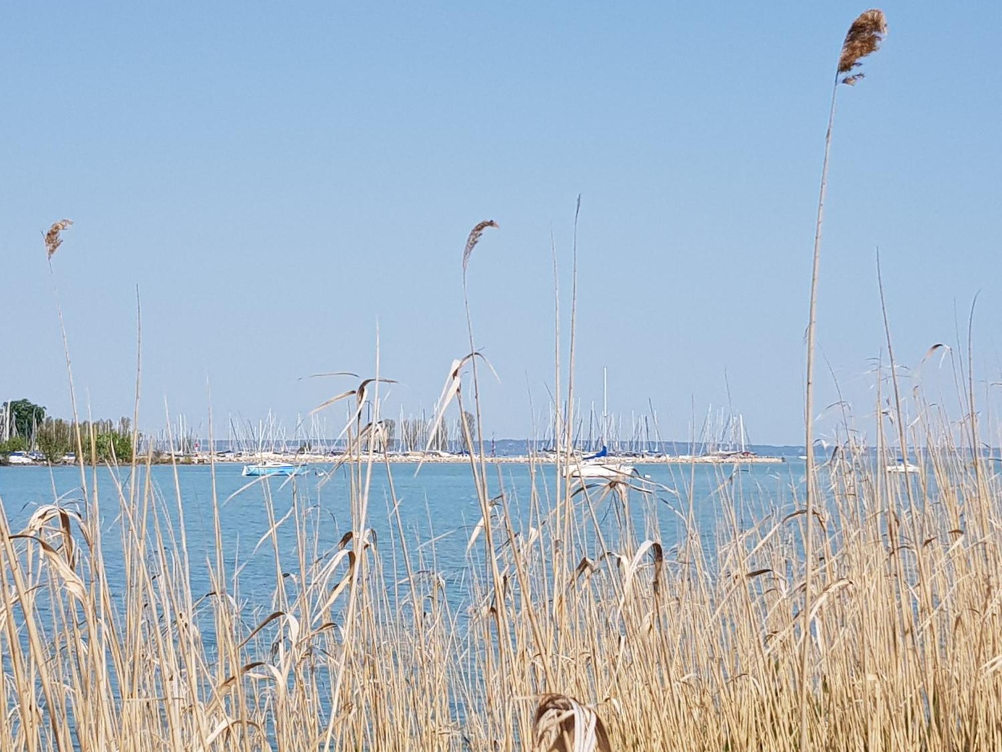 Coastline Balaton Apartment Alsóörs Exterior foto